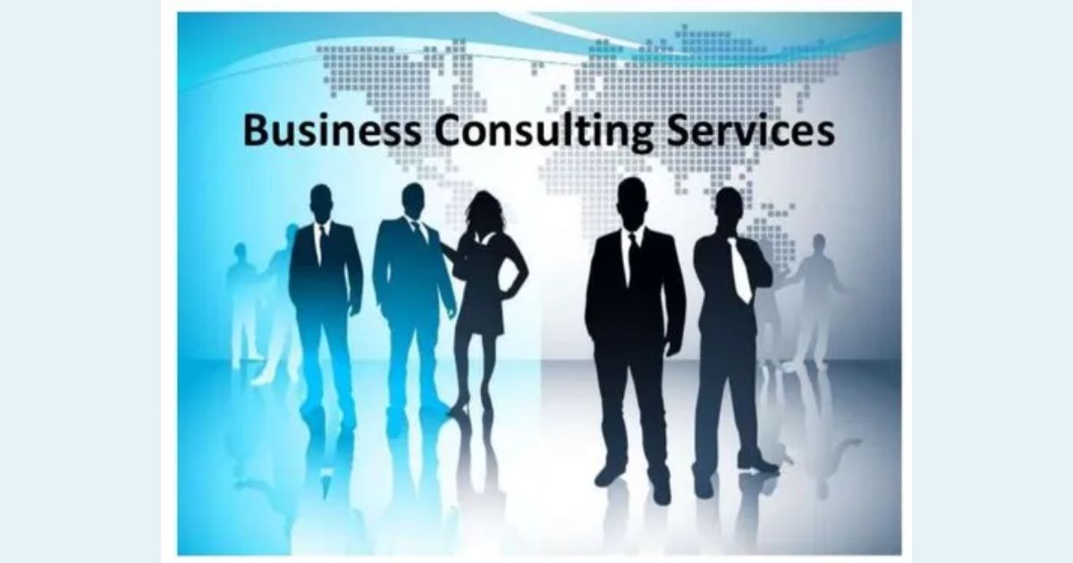 Consulting Services that Cater to Diverse Needs