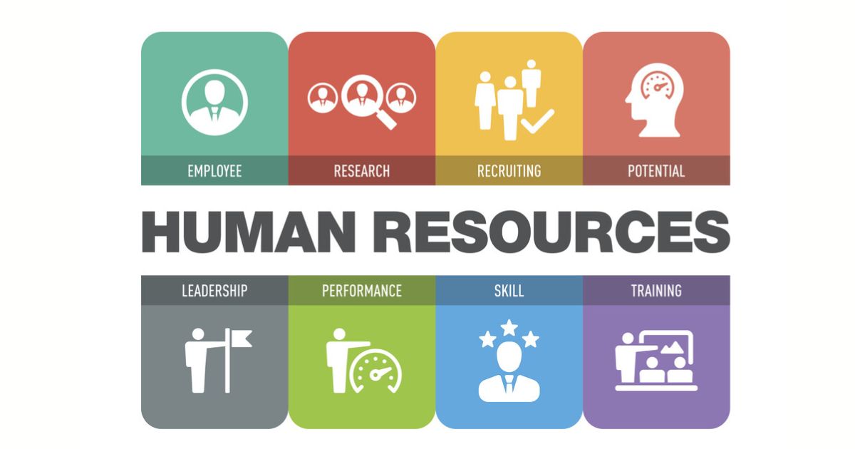 Human Resources Excellence: SMB Consulting Services Elevating Workforce Strategies