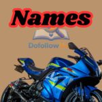 400+ Awesome Bike Names You’ll Actually Want to Use