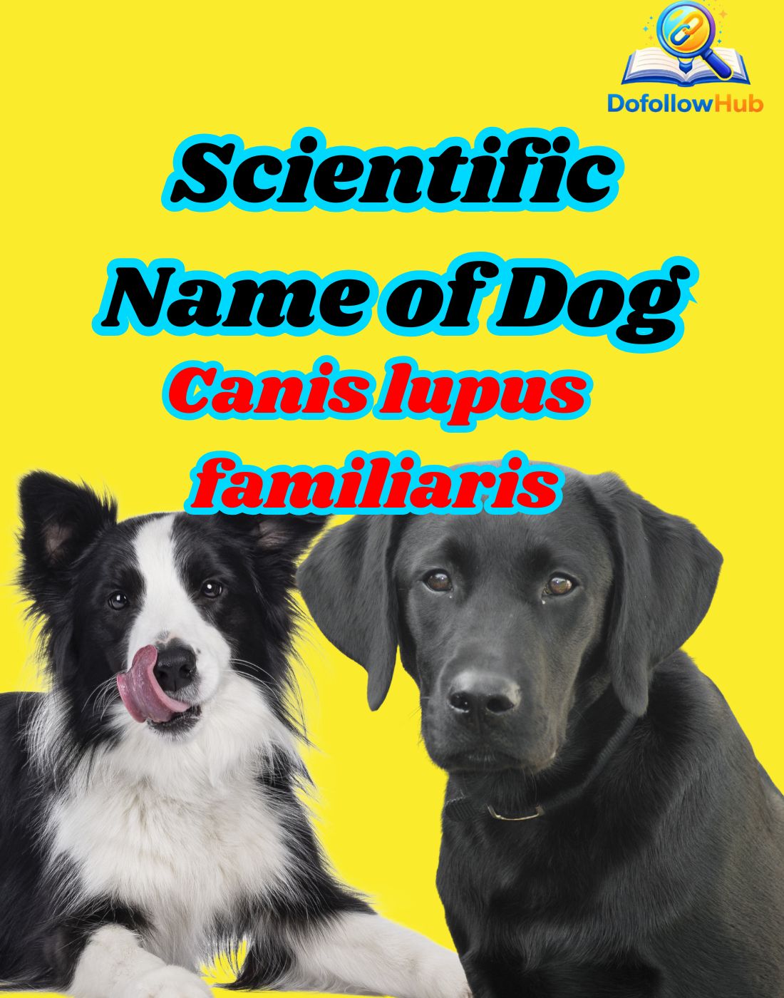 What is the Scientific Name of Dog: Discover the True Dog Taxonomy and Classification