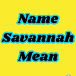 What Does the Name Savannah Mean? Full Explanation 