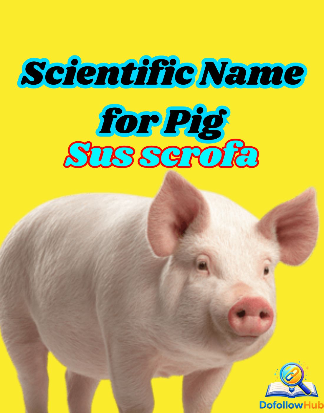 🐖 What is the Scientific Name for Pig? Discover Sus scrofa With Details