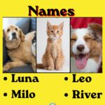 100 Pet Names for Dogs, Cats & Other Pets: Cute, Funny & Unique Ideas for 2026