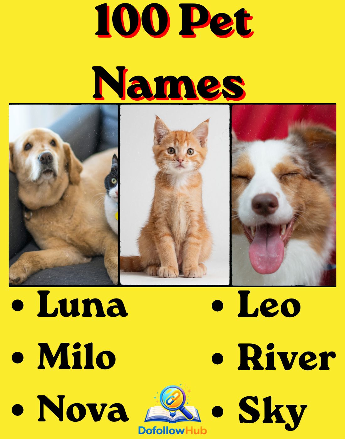 100 Pet Names for Dogs, Cats & Other Pets: Cute, Funny & Unique Ideas for 2026