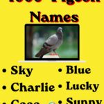 1000+ Pigeon Names: Cute, Funny, Unique, Cool & Creative Ideas for Every Pigeon (2026)