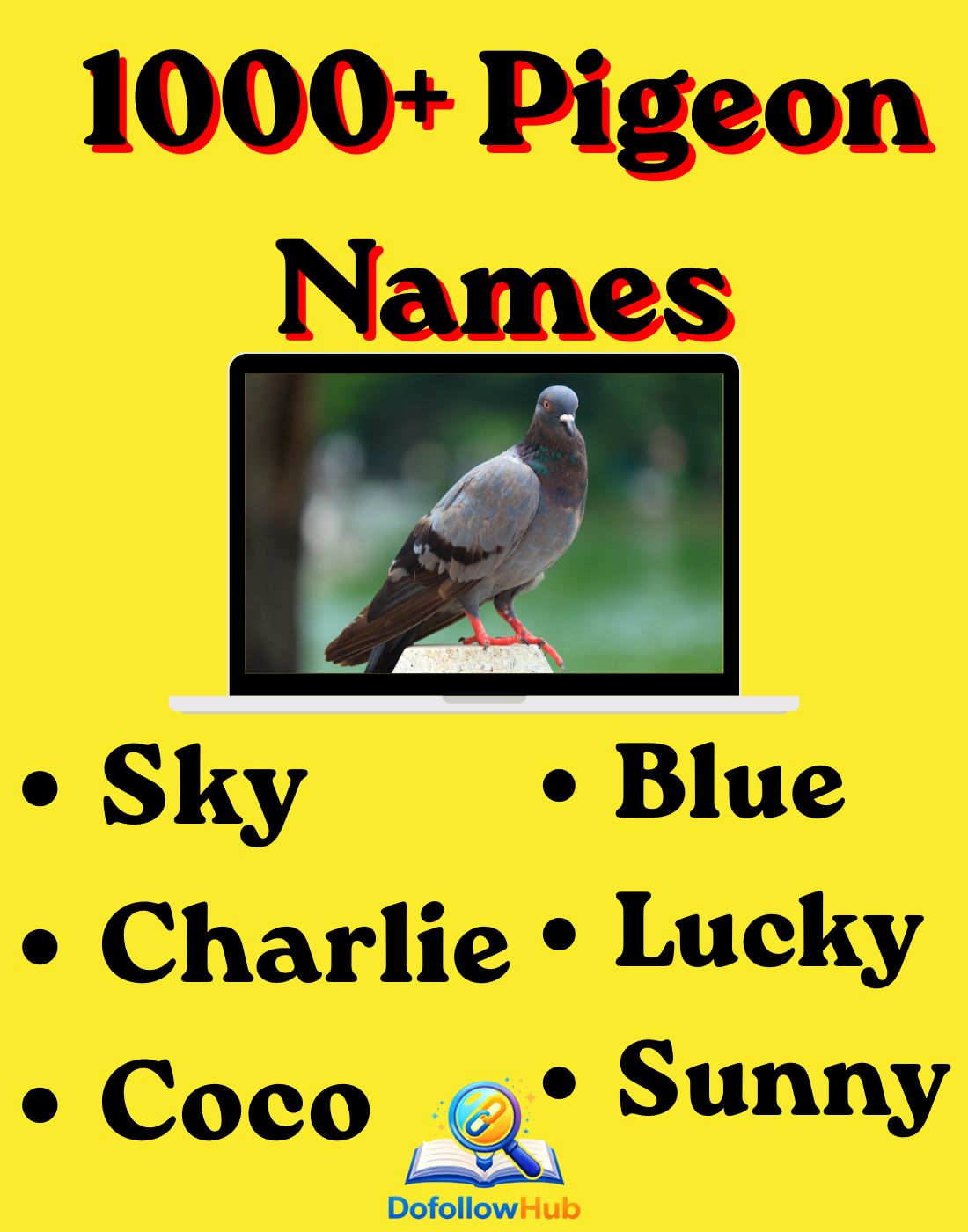 1000+ Pigeon Names: Cute, Funny, Unique, Cool & Creative Ideas for Every Pigeon (2026)