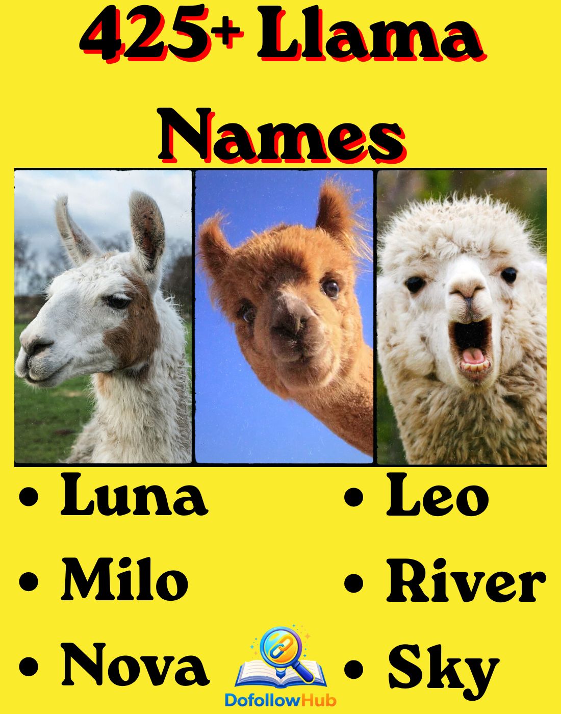425+ Cute and Funny Llama Names You'll Love (2026 Ultimate Guide)