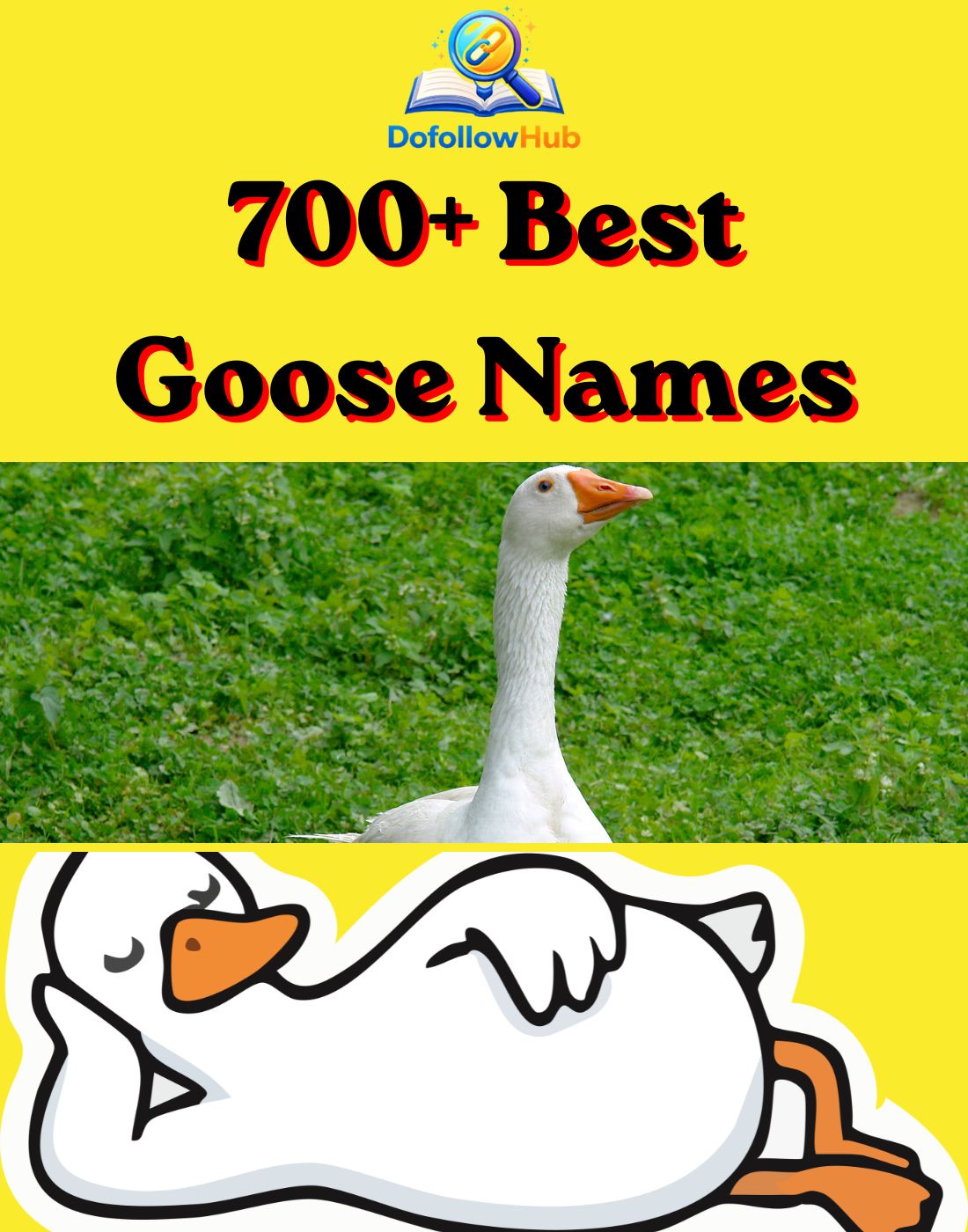 700+ Best Goose Names: Funny, Cute, Unique & Famous Ideas