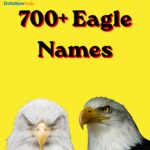 700+ Eagle Names: Cool, Powerful, Unique, Mythical & Nature-Inspired Ideas for Every Eagle