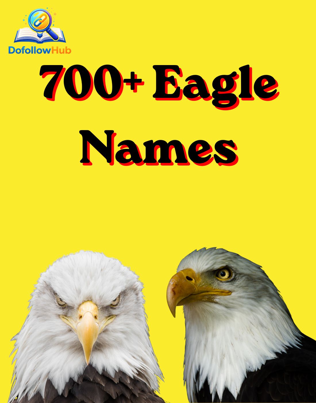 700+ Eagle Names: Cool, Powerful, Unique, Mythical & Nature-Inspired Ideas for Every Eagle
